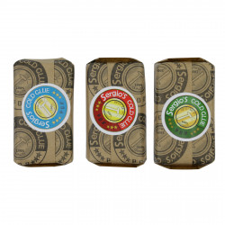 Kit Cola Fria - Repuxadeira Magnética, Ventosas de Alumínio e Colas Kit Cola Fria - Repuxadeira Magnética, Ventosas de Alumínio e Colas